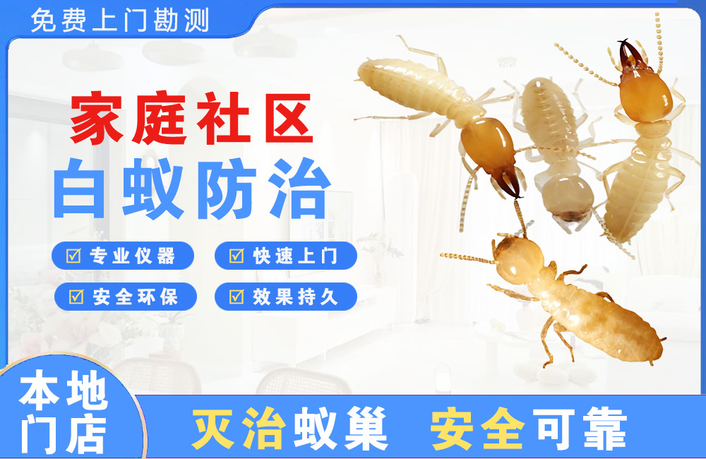 高安家庭社区白蚁防治