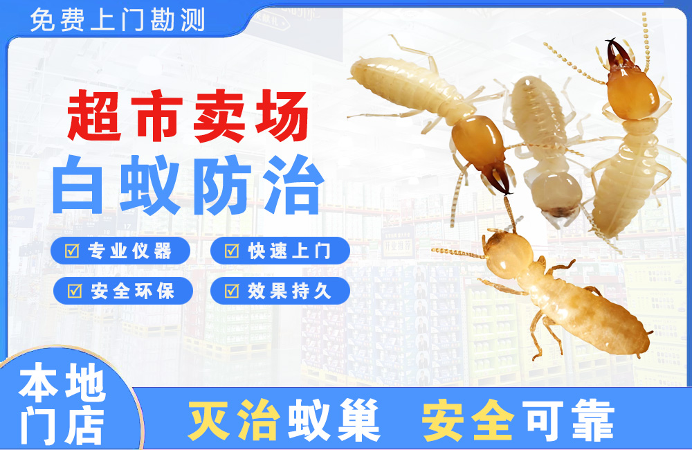 高安超市卖场白蚁防治