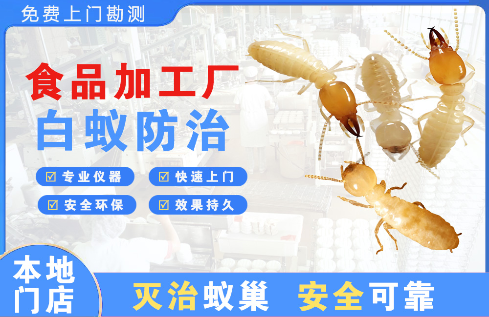 高安食品加工厂白蚁防治