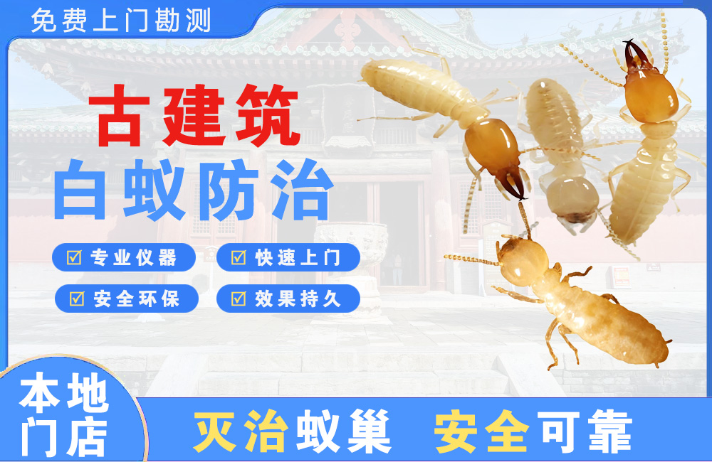 高安古建筑白蚁防治