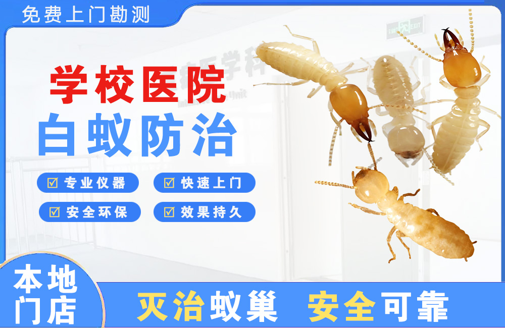高安学校医院白蚁防治