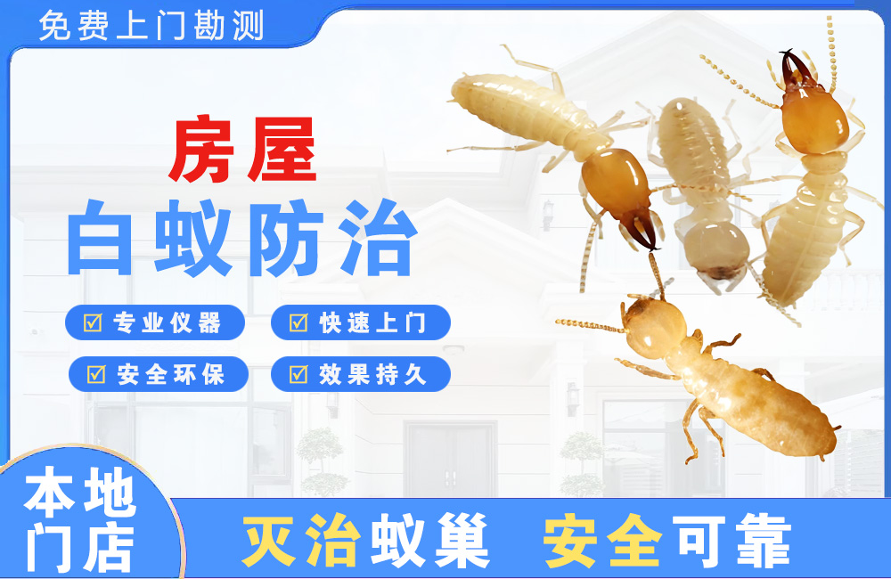 高安房屋白蚁防治