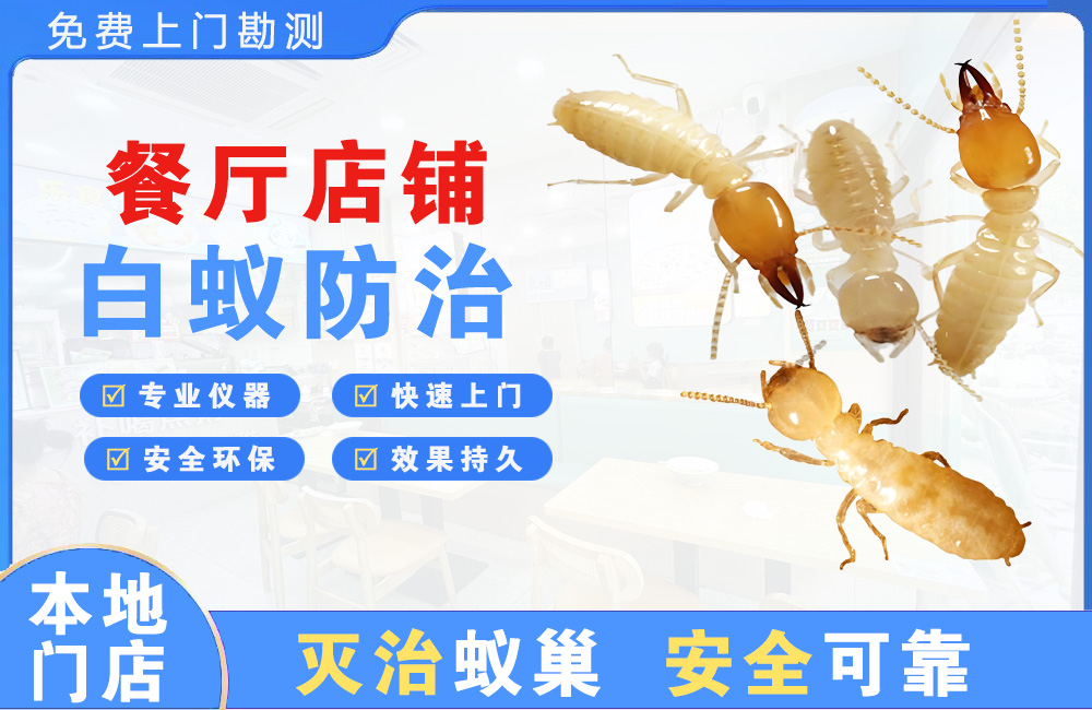 高安餐厅店铺白蚁防治